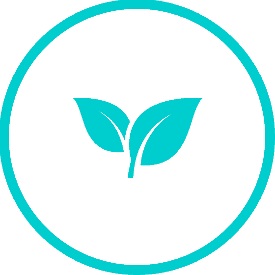 100% Renewable Energy icon.