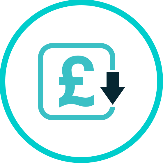 Lowest Domain Name Renewal Prices Icon.